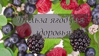 Польза ягод для здоровья Польза ягод для здоровья