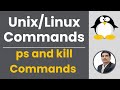 Part 13 - Unix/Linux for Testers | Process Commands - ps and kill