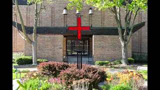 15th Sunday in Ordinary Time