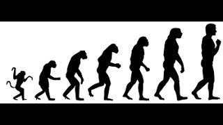 Evolution Simulator 2017