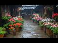 Small Space, Big Beauty: Transform Your Farmhouse with a Gorgeous Garden