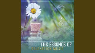 Harmonic Thread for Your Mind
