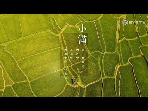【EYE TV二十四節氣系列】茶韻-小滿