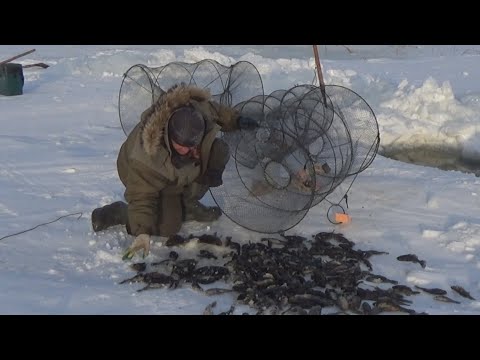 Сибирский Скиф 2022 Видео Новое Год Рыбалка