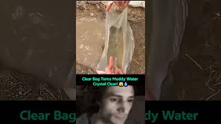 Clear Bag Turns Muddy Water Crystal Clear! 😱💧 #shorts