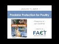 Predator Protection for Poultry