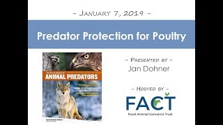 Predator Protection for Poultry