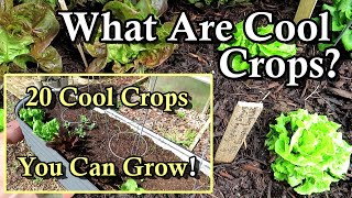 20 Cool Weather Crops You Can Easily Grow: What are 'Cool' Crops, When to Plant Them, Examples by Gary Pilarchik 2,622 views 1 year ago 8 minutes, 37 seconds