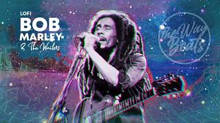 The Best Of Bob Marley Lofi Playlist -  Lofi Side Of Bob Marley & The Wailers -  pt1 screenshot 3