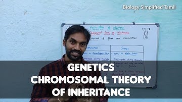 Chromosomal theory of inheritance | Genetics | Bilingual - Tamil | Senthilnathan