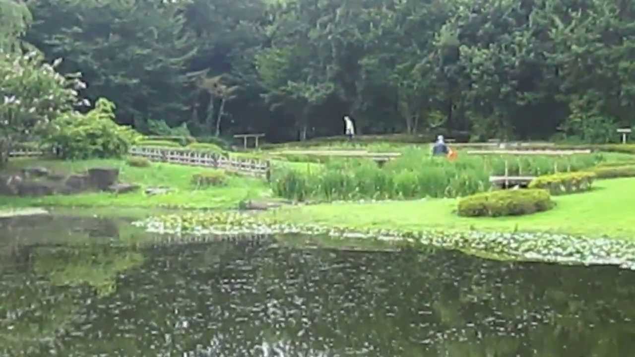 Ninomaru garden