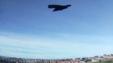 26th November 2025 24 hour time lapse 4k