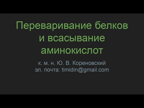 Переваривание белков и всасывание аминокислот