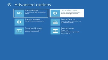 Go Back Button Not Working in Windows 11? Fix It Now