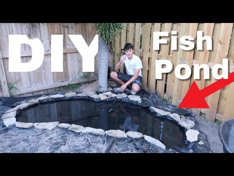 diy-mini-backyard-pond!-*another-pond*-part-1