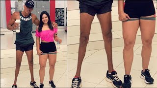 E panturrilha charley no tornozelo cavalo