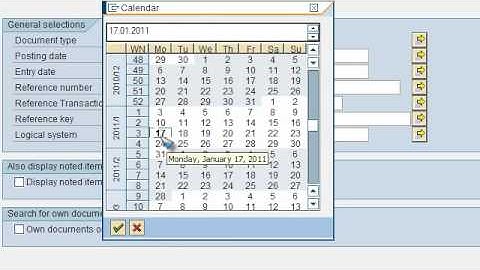 SAP FICO VIDEO TRAINING TUTORIALS 0023 TASK 3 GENERAL LEDGER DOCUMENT VIEW ECC6 - BAYISETTI