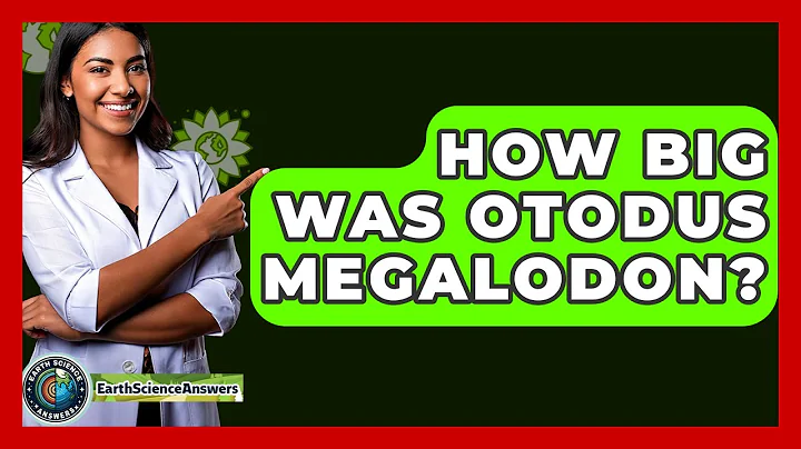 How Big Was Otodus Megalodon? - Earth Science Answers