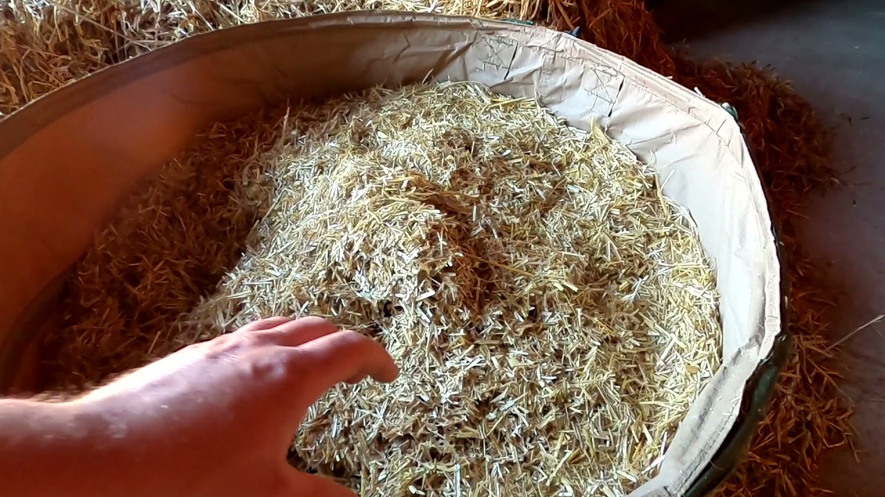 Strohaufbereitung mit Strohmühle und EM Benebelung, neues vom Weberhof