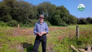 Learning from your Neighbours | Homesteading with Jim Cronin [Chapter 2]