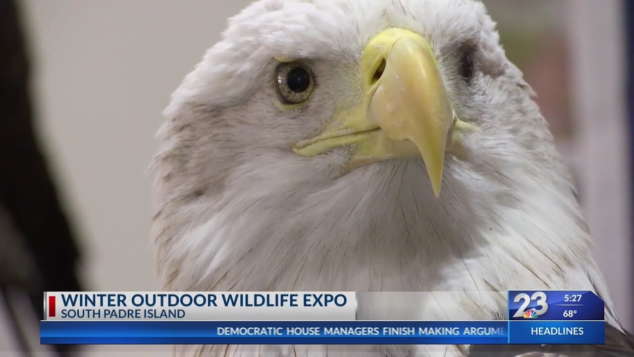 Winter Outdoor Wildlife Expo - YouTube