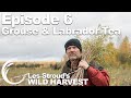 Survivorman | Les Stroud's Wild Harvest | Season 1 | Episode 6 | Grouse & Labrador Tea