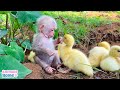 Baby monkey helps dad take care of ducks #shorts