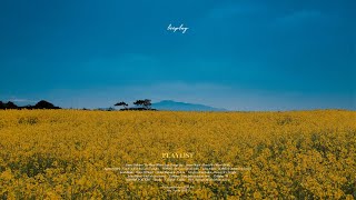 [playlist] 봄날을 기다리는 모든 이에게 (To all who are waiting for a spring day)