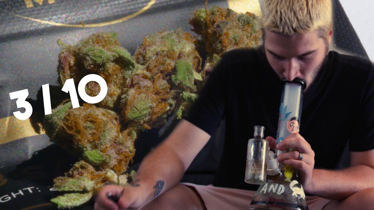 I Smoke a 2 Gram Karma Dub Sack (Weed Review)