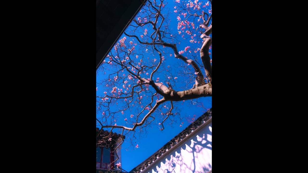 [FREE] Playboi Carti x Pierre Bourne Type Beat - 