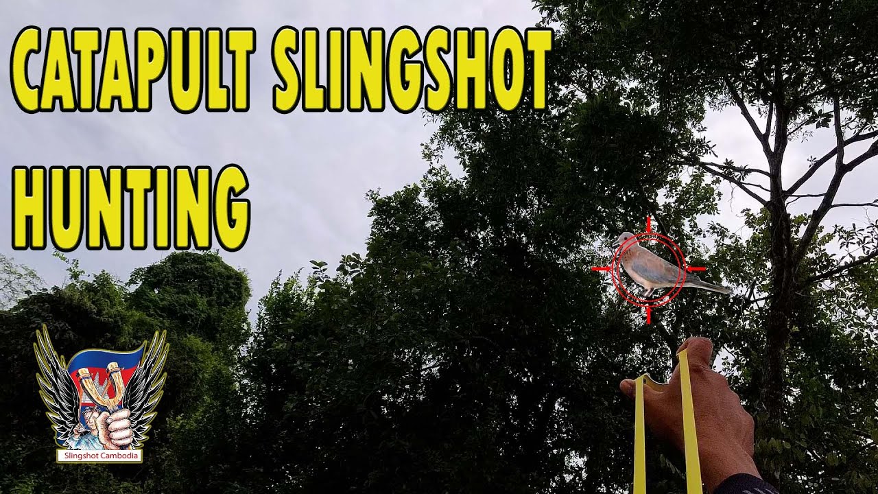 Let's go hunting #EP25 Catapult slingshot hunting ...
