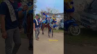 a gallant horse that can dance