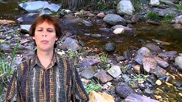 My Eco Footprint 1 of 5