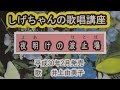 「夜明けの波止場」しげちゃんの歌唱レッスン講座/井上由美子・平成30年2月発売