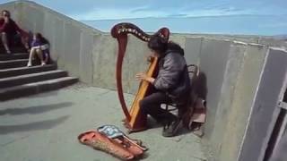Celtic Harph - Cliffs of Moher - Incredible harp playing at Cliffs of Moher by a local Bard