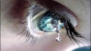 Lastima de amor los yonic's