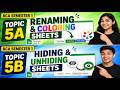 BCA Semester 1 Topic 5 📘 Advanced Excel Sheet Management | Rename, Color, Hide & Unhide Sheets