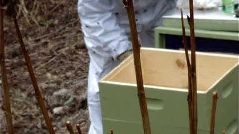 Beekeeping Alaska Style #2