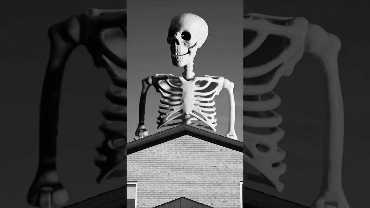 WATCH FULL FILM ‼️ 