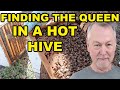 Beekeeping | How to Find Your Queen In An Aggressive Hive