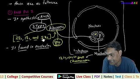 60  TRANSCRIPTION PART 2