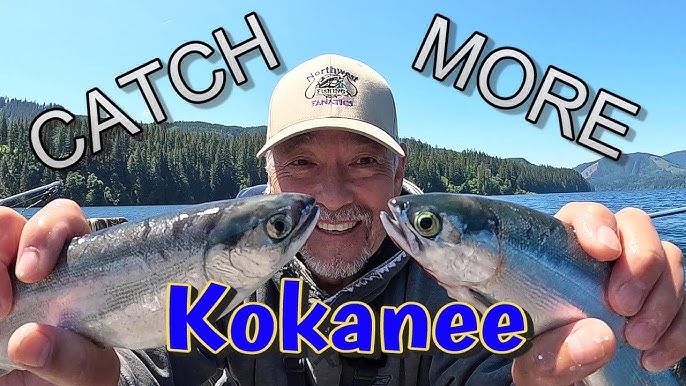 NEW! KastKing KOKANEE SALMON FISHING RODS - Fishing for Colorado