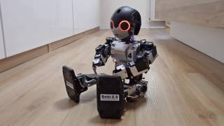 ROBO TOYS | ROBI 2.0  HUMANOIDER ROBOTER  KÜNSTLICHE INTELLIGENZ