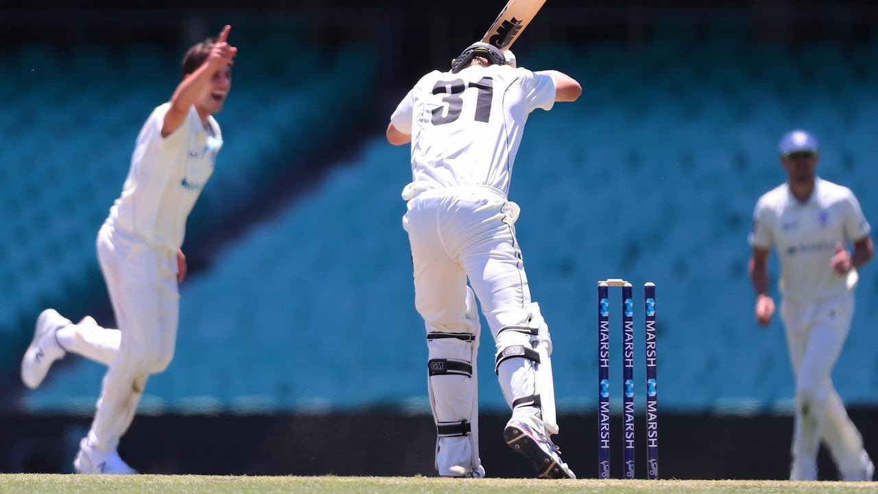 Worst leaves of the 2019-20 Marsh Sheffield Shield season