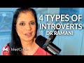 Introverts  4 types