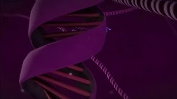 Miami-Dade screens random coronavirus test samples for omicron variant