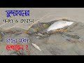 Most Valuable Fish Catching In Sundarban | Koral Fish, Big Size Shrimph | Adventure BD