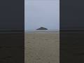 Tofino's Fog #fog #beach #nature #ocean #westcoast #canada #fyp #viral #shorts #explore #travel