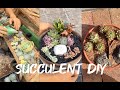 14 Succulent DIY ideas| 14 Ý tưởng trang trí sen đá tuyệt đẹp | 多肉植物| 다육이들 | Suculentas