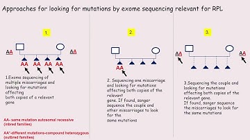 6 Evica Rajcan Separovic, Canada 1